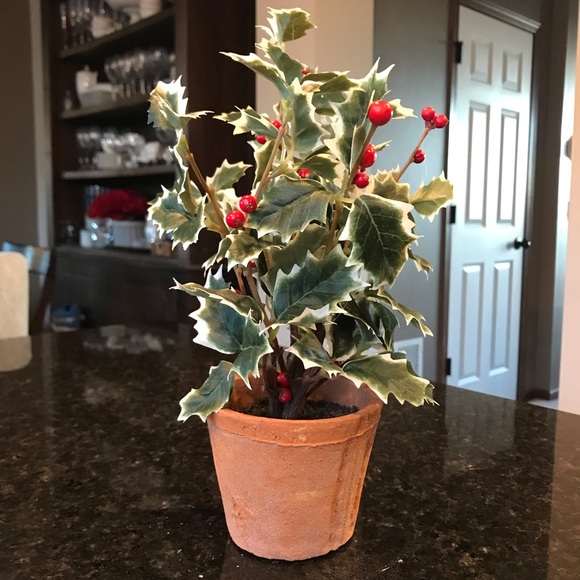 New Pottery Barn Faux Potted Holly, Holiday Plant - Picture 8 of 13